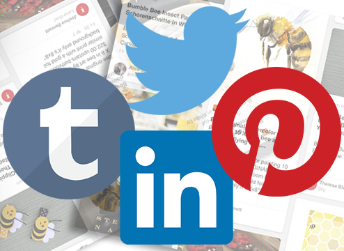 Social media promotion Viral Content Bee