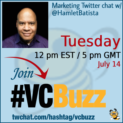 How to Win Against Biggest Brands in SEO with @HamletBatista #VCBuzz